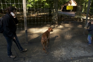 Gassirunde zum Wildpark